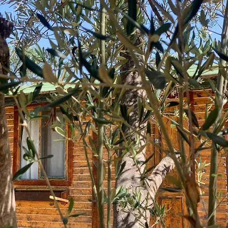 Mesken Bungalow Ayvacik (Canakkale)