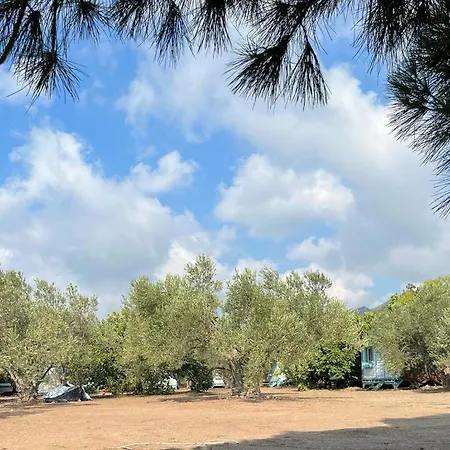 Mesken Bungalow * Ayvacik (Canakkale)